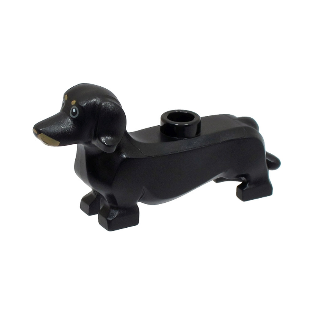 Dachshund - 53075pb02