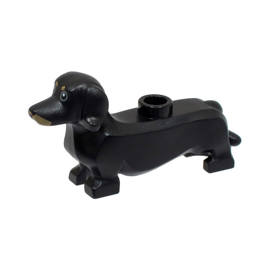 Dachshund - 53075pb02