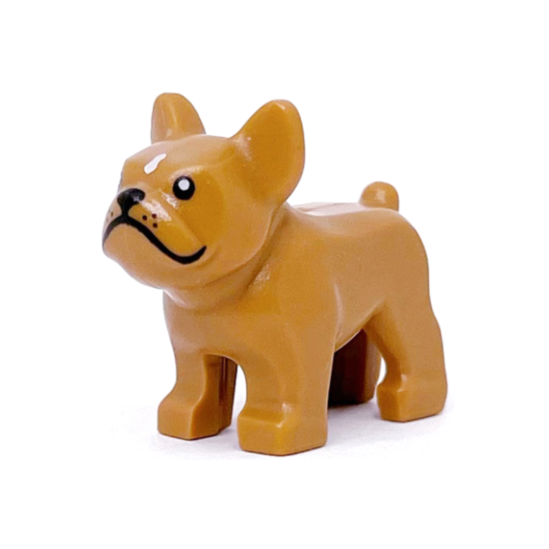 French Bulldog - 29602pb01