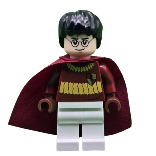 Harry Potter - HP110