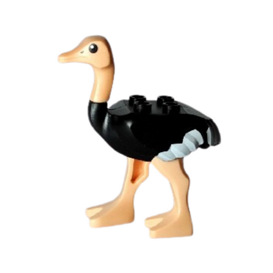 Ostrich - 24689pb01c01