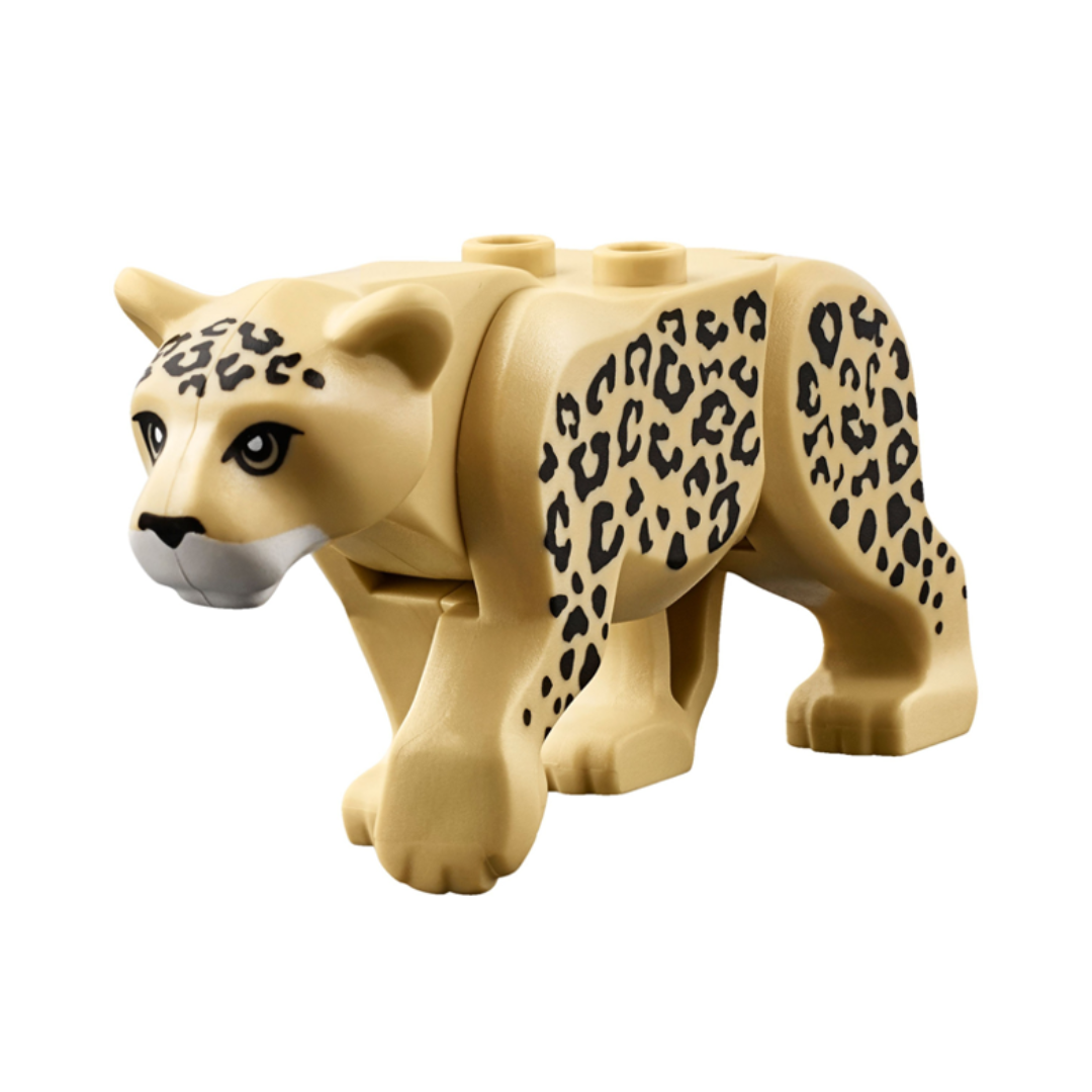 Leopard - bb0787c01pb02