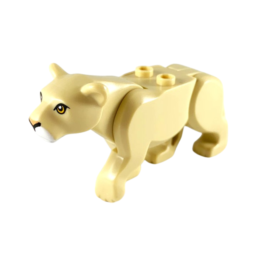 Lioness - bb0787c01pb05