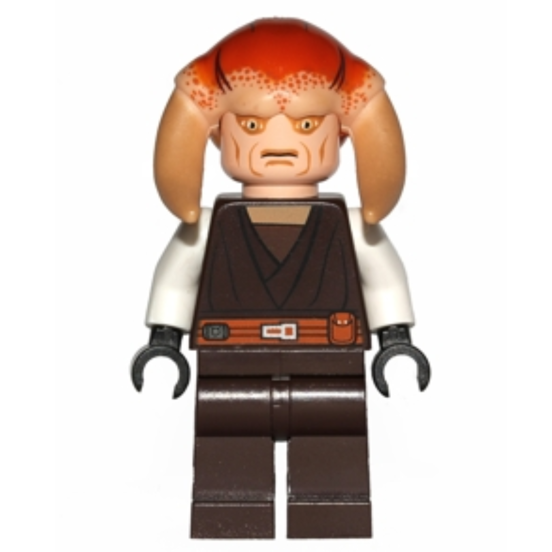 Maestro Jedi Saesee Tiin - Sw0308