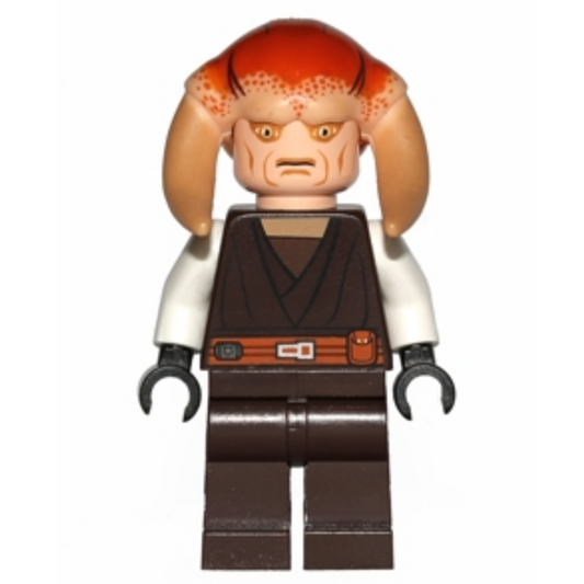 Maestro Jedi Saesee Tiin - Sw0308
