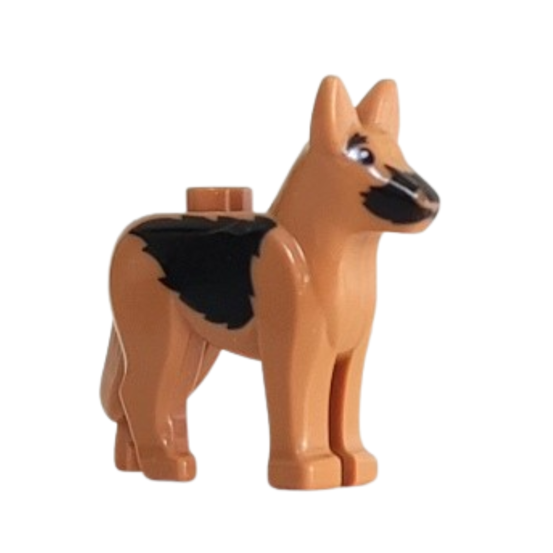 Dog - Alsatian - 92586pb04