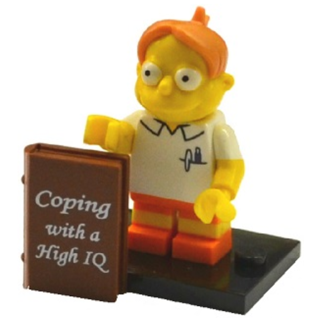 Martin Prince - COLSIM2-8